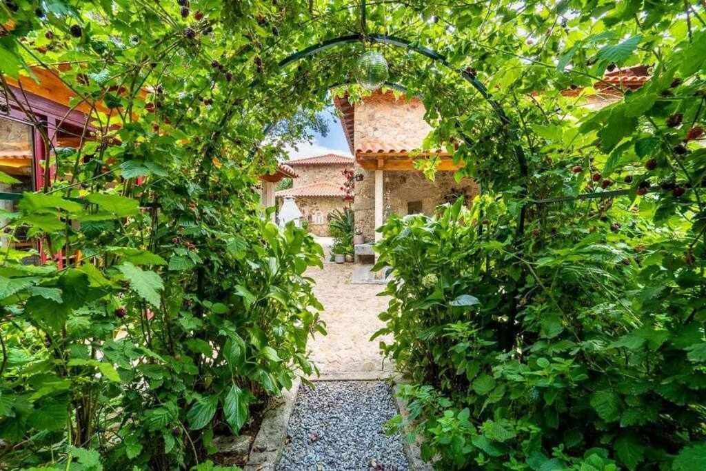 Casas Casal Do Carvalhal - Agroturismo Amares Zewnętrze zdjęcie