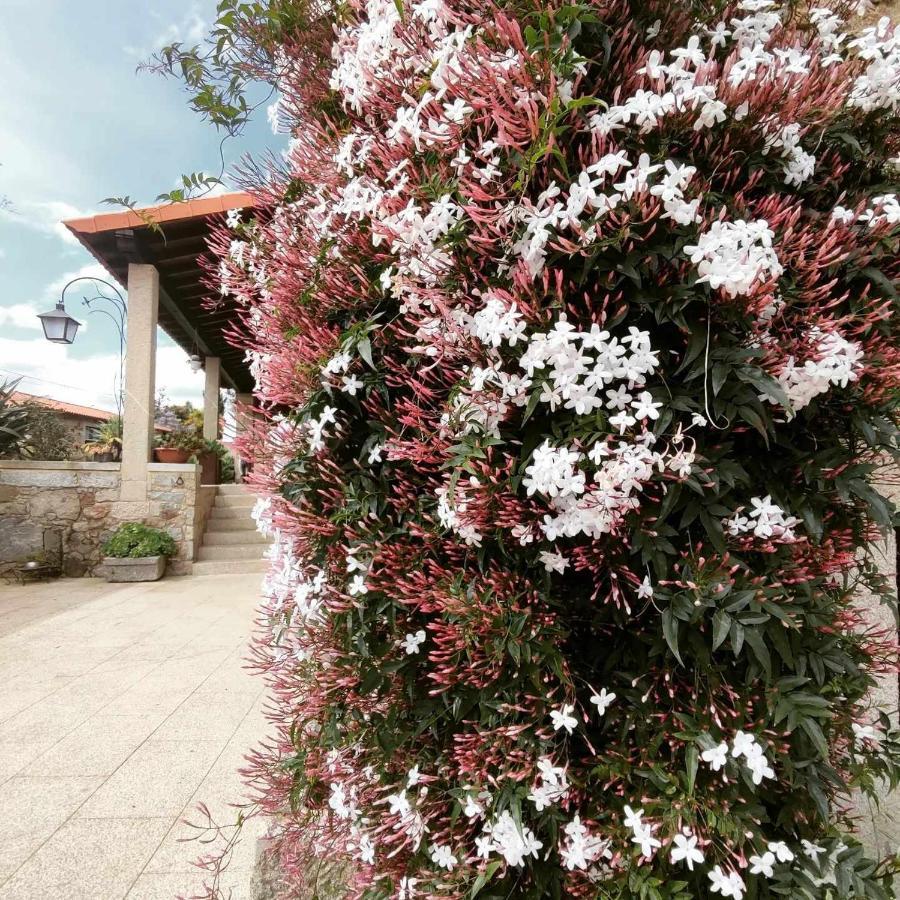 Casas Casal Do Carvalhal - Agroturismo Amares Zewnętrze zdjęcie